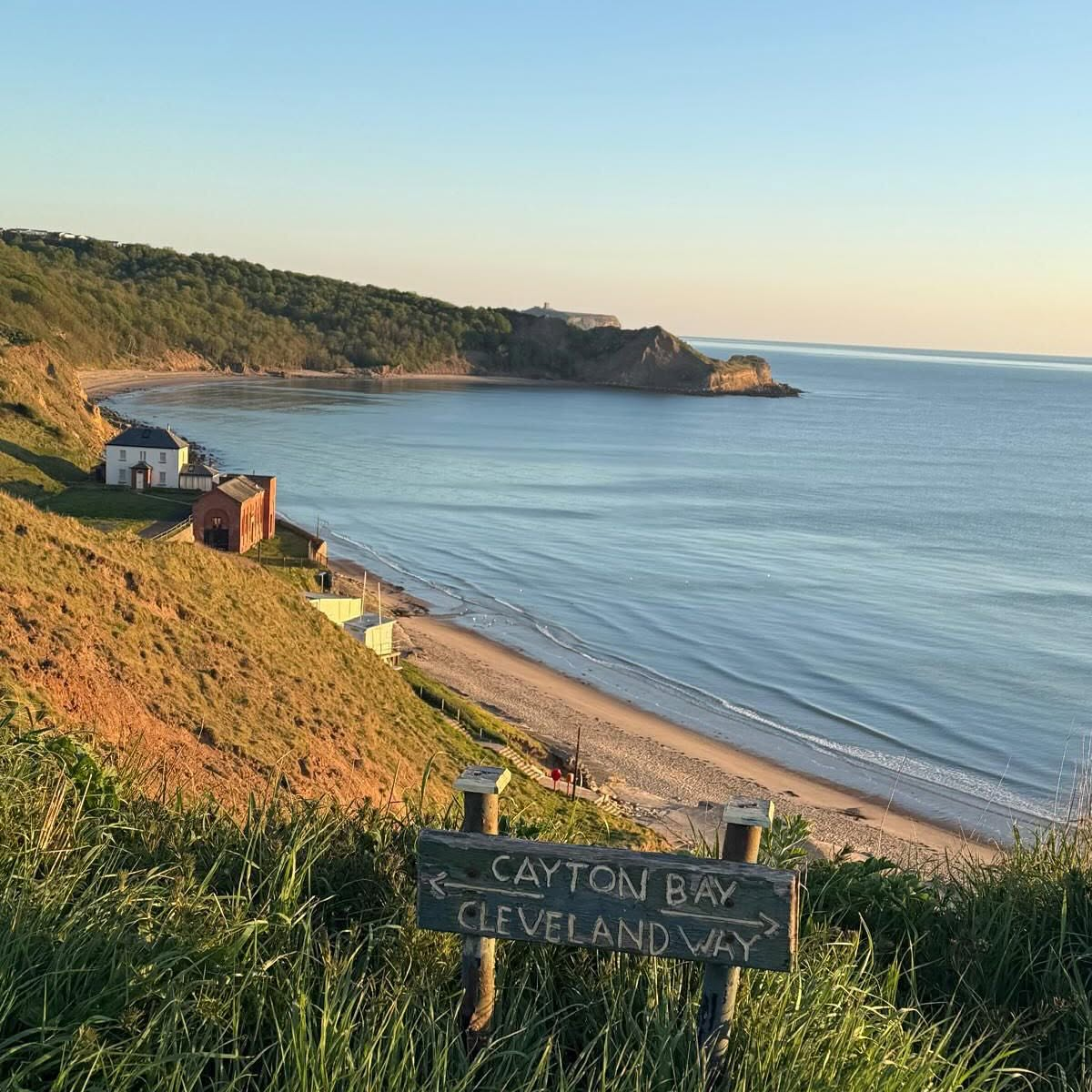 View over Cayton Bay from the clifftop